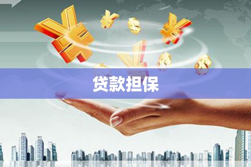 市中区贷款担保