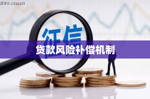 柳东贷款风险补偿机制