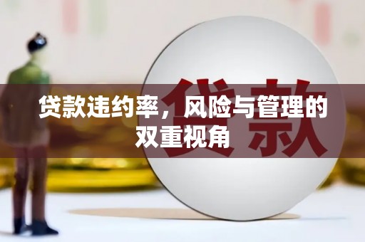 和田贷款违约率，风险与管理的双重视角
