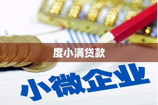莱城度小满贷款
