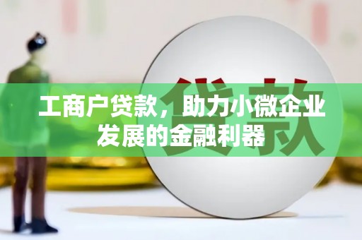 临渭工商户贷款，助力小微企业发展的金融利器