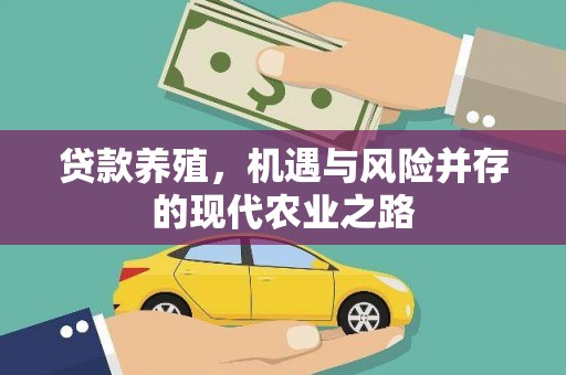 临安贷款养殖，机遇与风险并存的现代农业之路