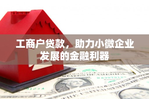 宁海工商户贷款，助力小微企业发展的金融利器