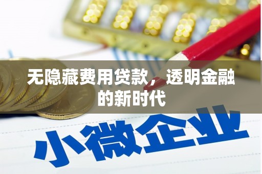 贞丰无隐藏费用贷款，透明金融的新时代
