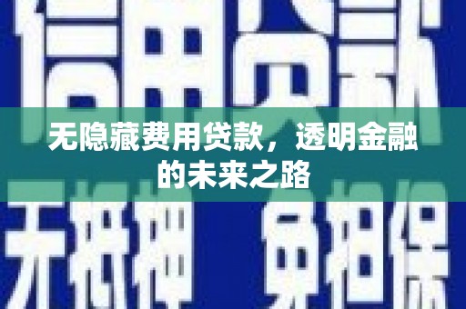遂宁无隐藏费用贷款，透明金融的未来之路