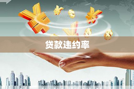 成武贷款违约率