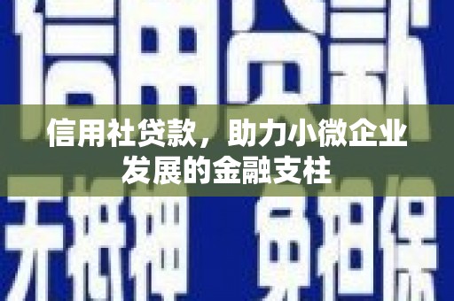 大甲信用社贷款，助力小微企业发展的金融支柱