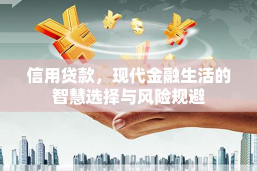 法库信用贷款，现代金融生活的智慧选择与风险规避