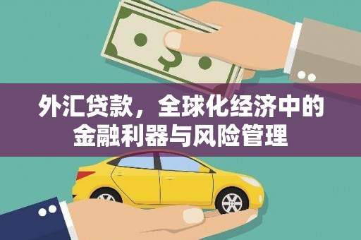 桐城外汇贷款，全球化经济中的金融利器与风险管理