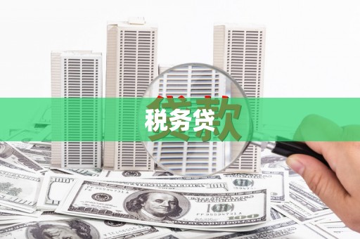 海兴税务贷