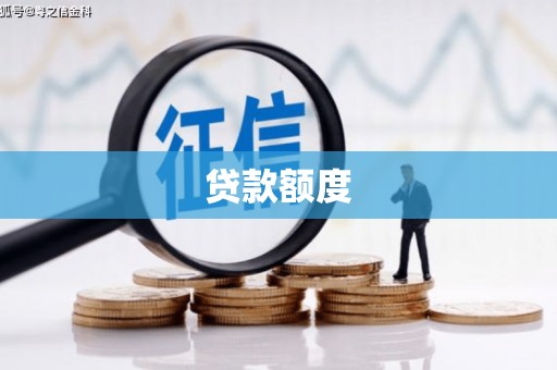 施甸贷款额度