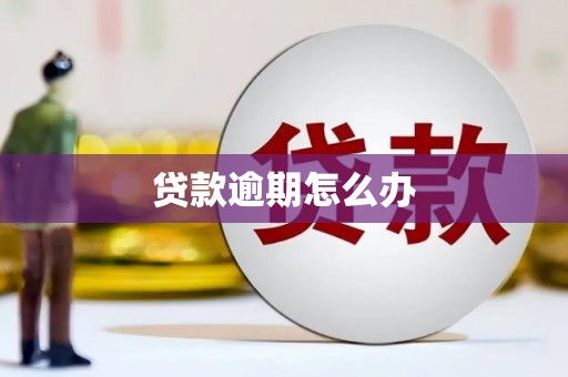 隆回贷款逾期怎么办