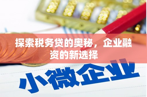 碌曲探索税务贷的奥秘，企业融资的新选择
