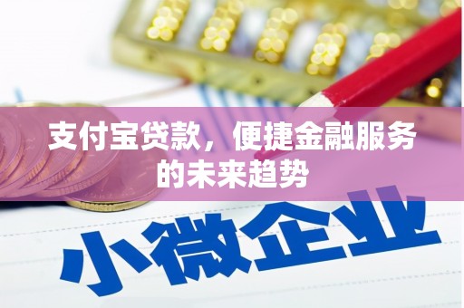 商南支付宝贷款，便捷金融服务的未来趋势