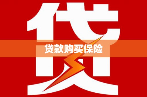共和贷款购买保险