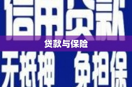 庄浪贷款与保险