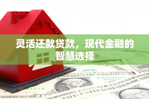 务川灵活还款贷款，现代金融的智慧选择