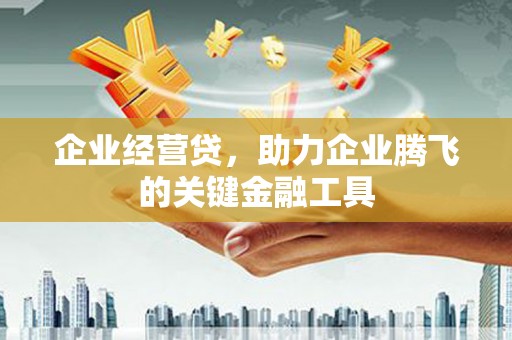 荷塘企业经营贷，助力企业腾飞的关键金融工具