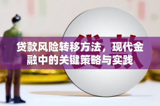 天水贷款风险转移方法，现代金融中的关键策略与实践