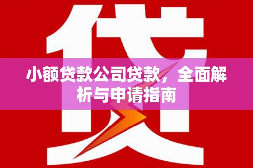 镇原小额贷款公司贷款，全面解析与申请指南