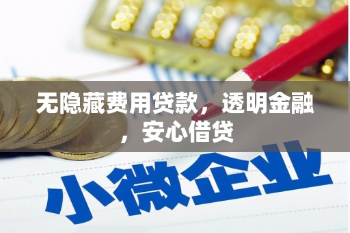 赵县无隐藏费用贷款，透明金融，安心借贷