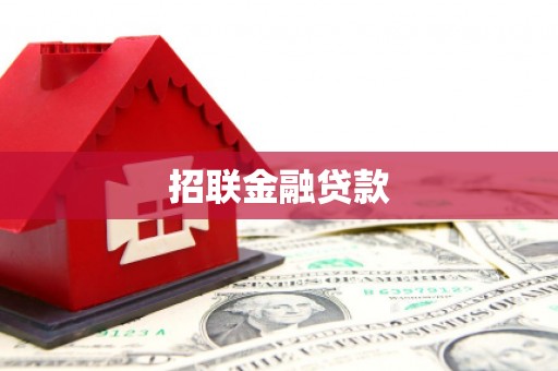 白山招联金融贷款