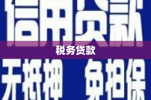 历城税务贷款