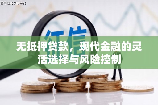山东无抵押贷款，现代金融的灵活选择与风险控制