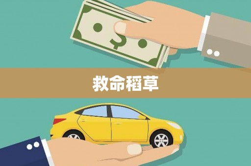 新建救命稻草