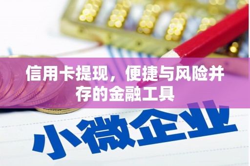 保亭信用卡提现，便捷与风险并存的金融工具