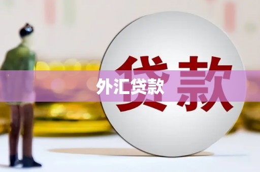 员林外汇贷款
