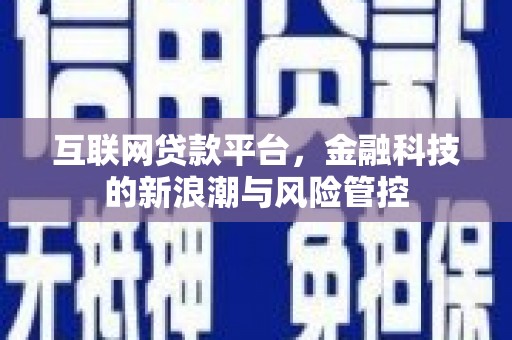 禄丰互联网贷款平台，金融科技的新浪潮与风险管控