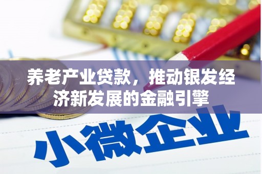 天峨养老产业贷款，推动银发经济新发展的金融引擎