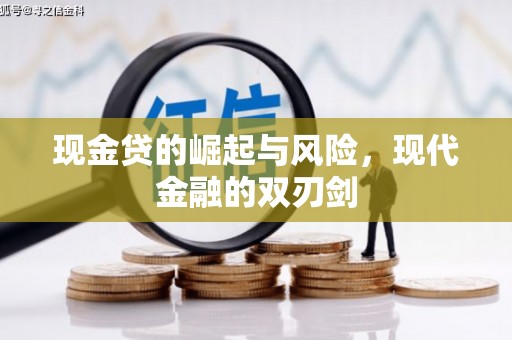 海兴现金贷的崛起与风险，现代金融的双刃剑