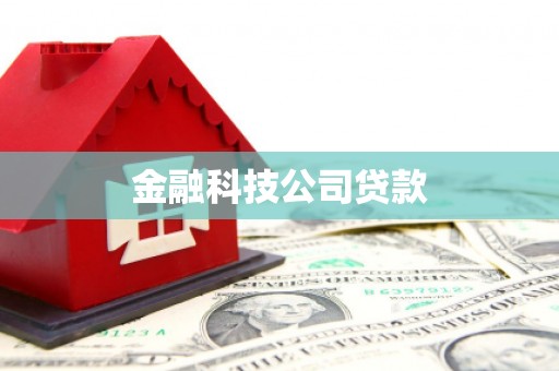 麦积金融科技公司贷款