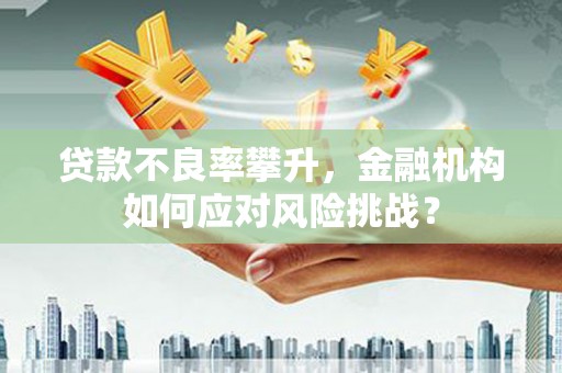 色达贷款不良率攀升，金融机构如何应对风险挑战？