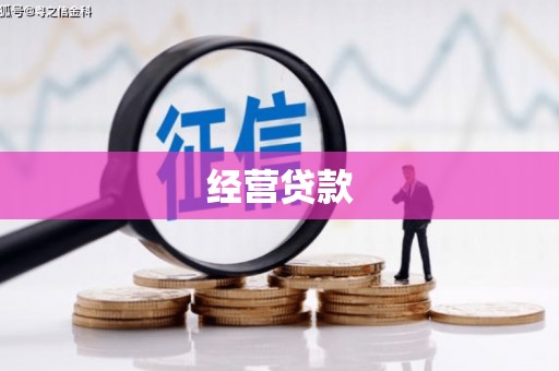 泗阳经营贷款