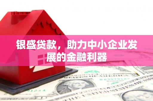 西华银盛贷款，助力中小企业发展的金融利器
