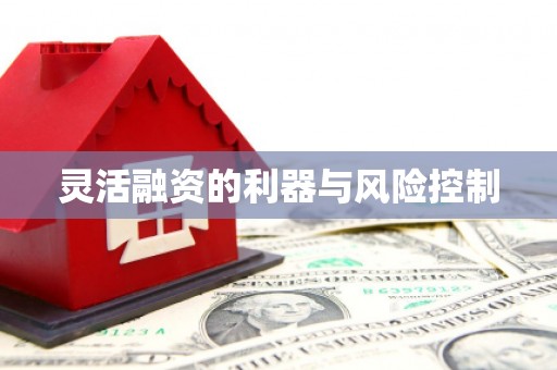 郾城灵活融资的利器与风险控制