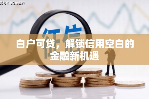 中卫白户可贷，解锁信用空白的金融新机遇