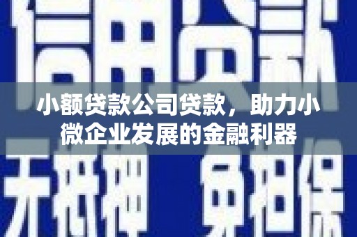 岚皋小额贷款公司贷款，助力小微企业发展的金融利器