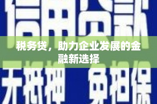 凉山税务贷，助力企业发展的金融新选择