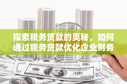 临西探索税务贷款的奥秘，如何通过税务贷款优化企业财务