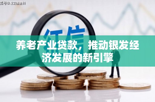 城西养老产业贷款，推动银发经济发展的新引擎