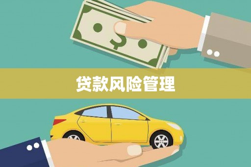 临渭贷款风险管理