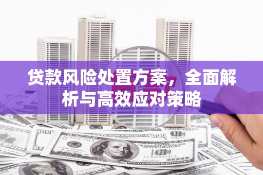 造桥贷款风险处置方案，全面解析与高效应对策略