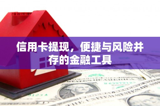 海丰信用卡提现，便捷与风险并存的金融工具
