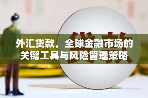 亚东外汇贷款，全球金融市场的关键工具与风险管理策略