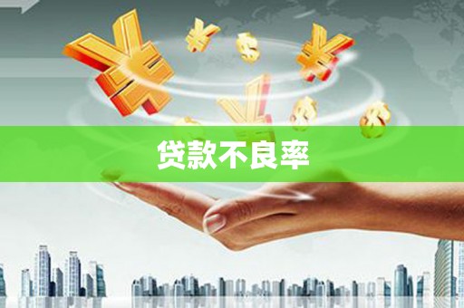 金水贷款不良率