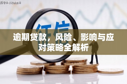 乐陵逾期贷款，风险、影响与应对策略全解析